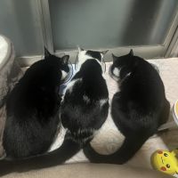 海月28さん