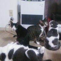 さおりんりん 会員画像