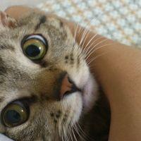 会員画像
