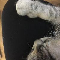 «٩(*´ ꒳ `*)۶» 会員画像
