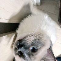 くいあ 会員画像