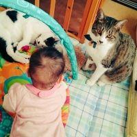 こたこじママ 会員画像