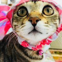 ひでみ。さん