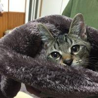 モカお 会員画像