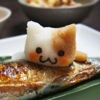 ねこ年生まれ♪ 会員画像