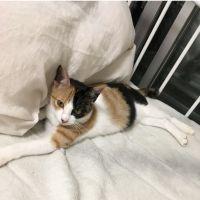 ゆうひさん。 会員画像
