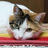 ゆめちゃんまま 会員画像