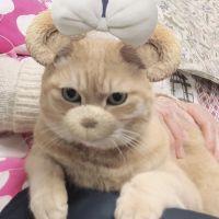 やまゆき 会員画像