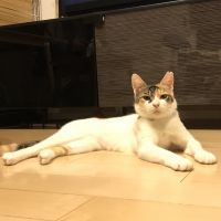 会員画像