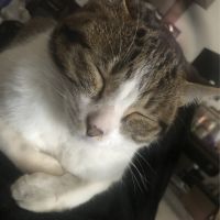 みづき先輩 会員画像