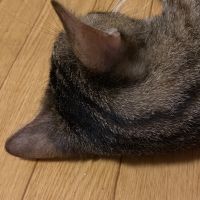 会員画像