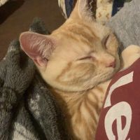 会員画像