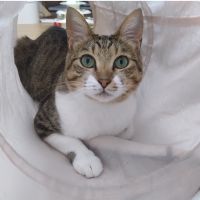 なっつさん 会員画像