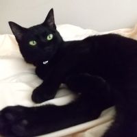 ちょろぴーのママさん