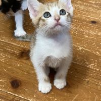 ハルじろうさん