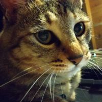 松こまち 会員画像