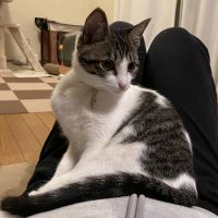 midomido 会員画像