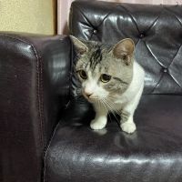 すんぐぁ 会員画像