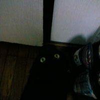 会員画像