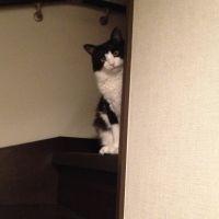 Yuko M さん