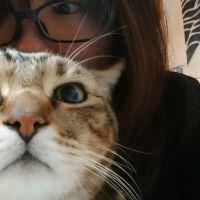 とも。 会員画像
