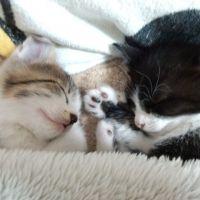 会員画像