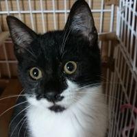 のり14 会員画像