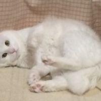 サナ0912 会員画像