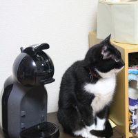 会員画像