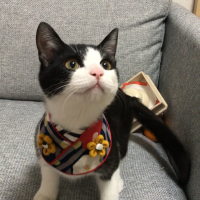 会員画像