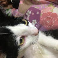 青柳博紀 会員画像