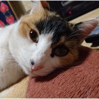 まちむ 会員画像