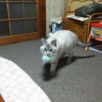 トム様 会員画像