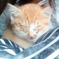会員画像