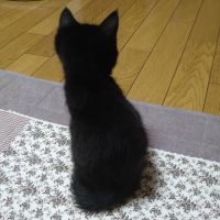 おーたさん