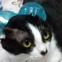 ルパ子 会員画像