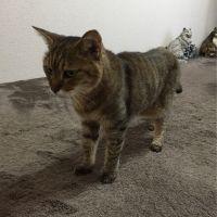 会員画像