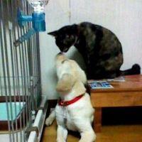 ちゃんまま 会員画像