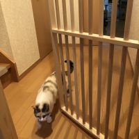 hiro312 会員画像
