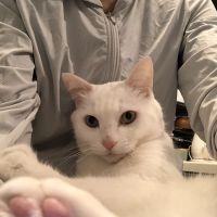 会員画像