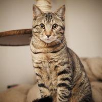 ゆーこ、 会員画像