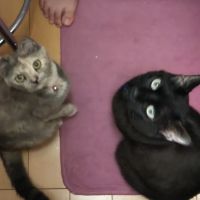 会員画像