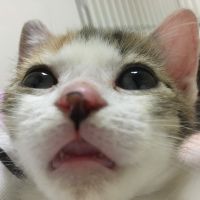 会員画像
