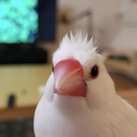会員画像