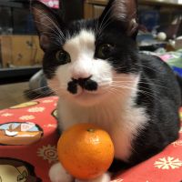 うーすけ 会員画像