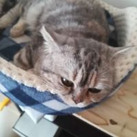 会員画像