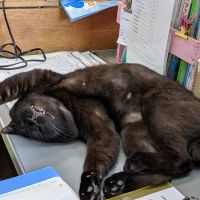 ひろかい 会員画像