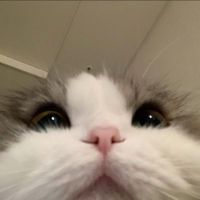 まりあちゃん 会員画像