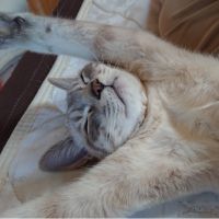 すんこ 会員画像