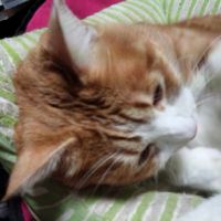 かず1977 会員画像